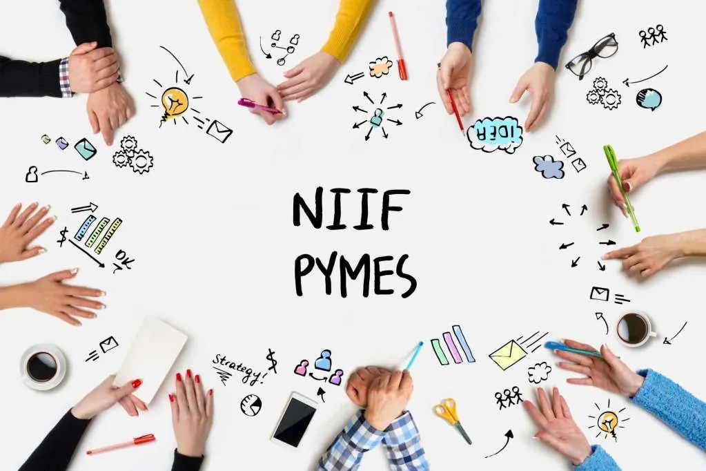 NIIF para las PYMES 2015